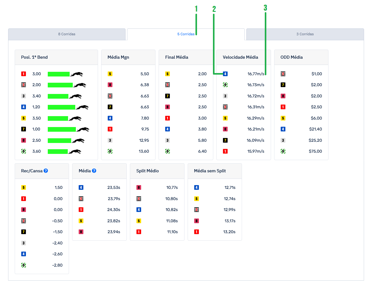 Como Interpretar a Velocidade Média nas Corridas de Galgos Australianos